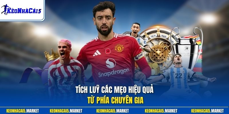 Tích lũy các mẹo hiệu quả từ phía chuyên gia